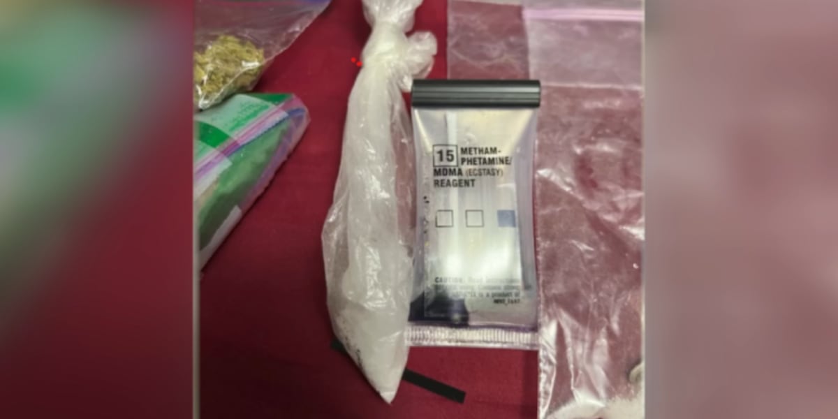 Punta Gorda woman arrested on narcotics charges, multiple dead cats found in home