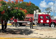 Plantan más árboles para reforestar la zona fundacional de Cancún