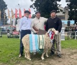 La Reforma de Zeberio Hermanos, con un Campeón Hembra de la raza Lincoln