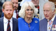 Queen Camilla reportedly fears Prince Harry is manipulating King Charles’ sympathy
