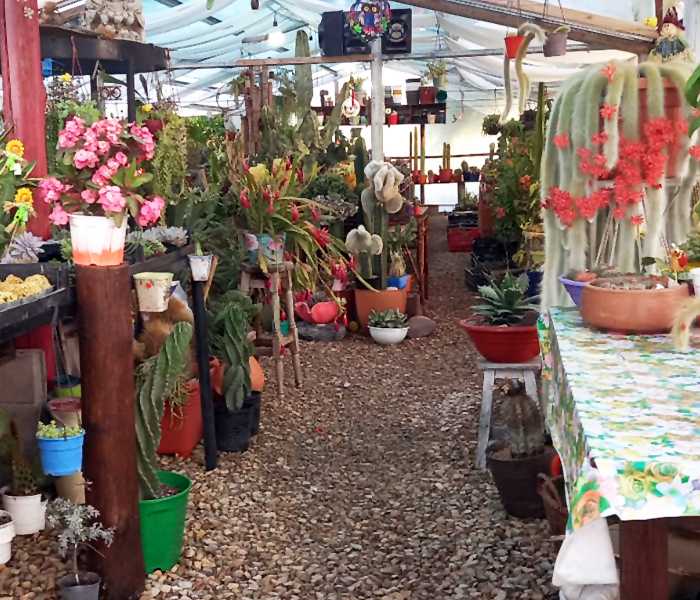 Enamorate de la Provincia de Buenos Aires con sus paisajes primaverales únicos