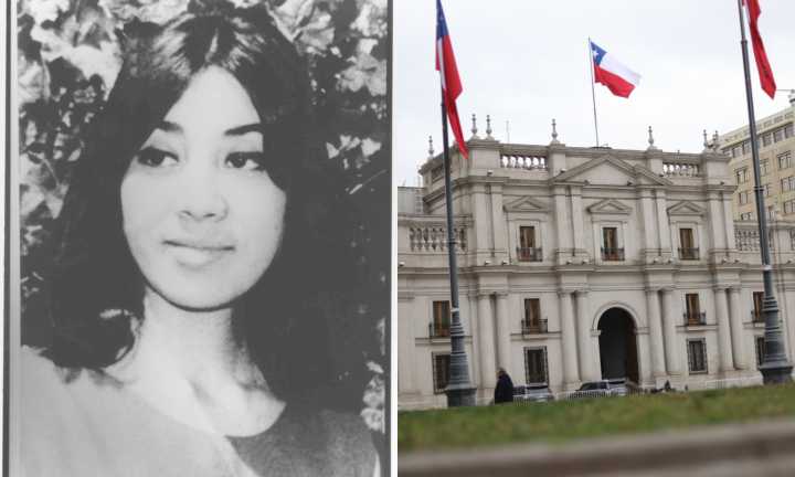 Caso Bernarda Vera: Gobierno asegura que este tipo de casos son "una excepción" y que se habían entregado antecedentes a la justicia