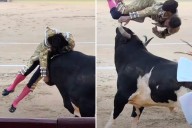 Horrific video shows veteran matador viciously gored in Madrid bullfight