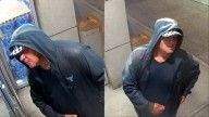 Police looking for suspect in SE Calgary vehicle arson