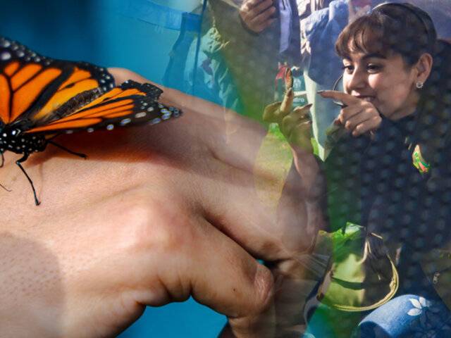 San Isidro transforma sus parques en aulas de ciencia