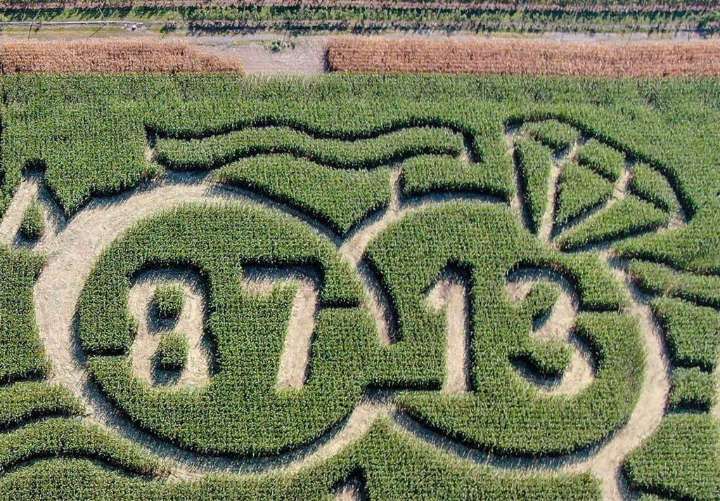 Get an early look at this corn maze celebrating Kelce & Swift’s love story