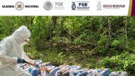 Ejército asegura 16 áreas de concentración de químicos para fabricar drogas en 3 municipios