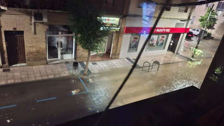 Cuarenta árboles afectados en Binéfar por el vendaval que marcó rachas de 71 kilómetros/hora