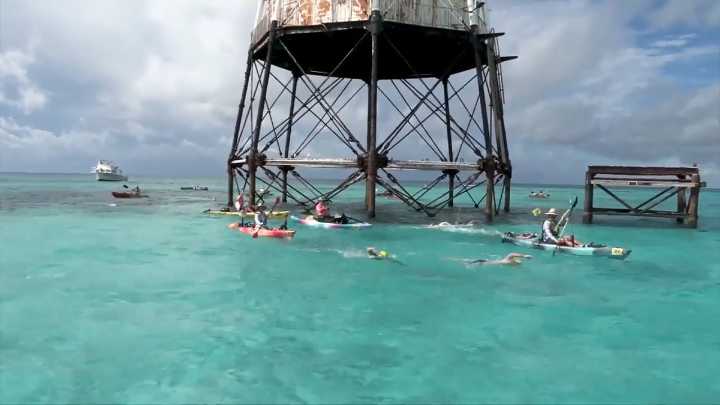 Swimmers compete in annual 8-mile open water challenge ‘Swim for Alligator Lighthouse’ in Islamorada 