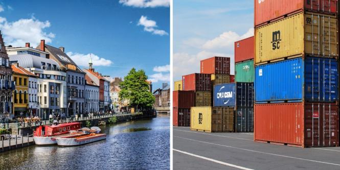 En Bélgica lo adoran: Colombia exporta cada vez más este producto que aman en el mundo