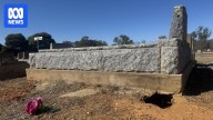 Rabbits cause 'devastating' damage to Junee cemetery in southern NSW