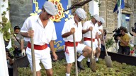 Catas, visitas, rutas, conciertos, pintura o magia para unas Fiestas de la Vendimia de Jerez en las que se celebra este martes La Pisa de la Uva