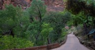 After 2 year closure, popular Zion National Park trail finally reopens