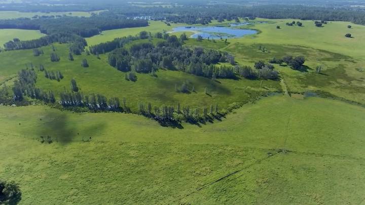 State will pay $30.8M to preserve Kirkland Ranch in east Pasco