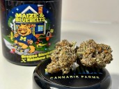 Your guide to the best cannabis in Michigan for the fall