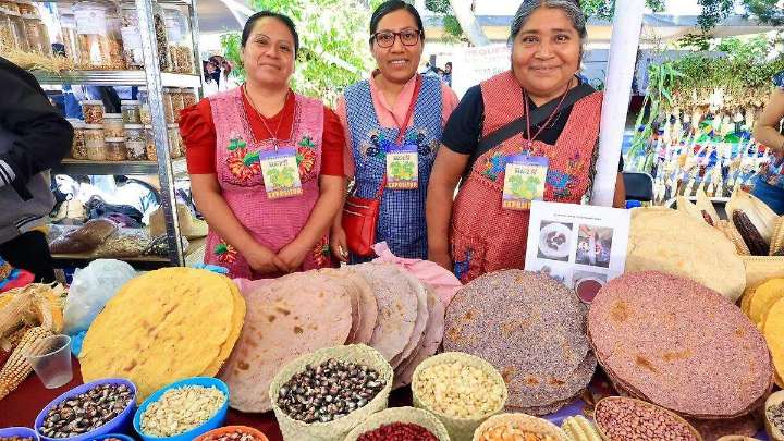 Oaxaca, cerca de la autosuficiencia en maíz: de 550 mil a 770 mil toneladas en tres años