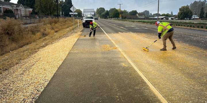 Thousands of pumpkin seeds spill across Oregon road