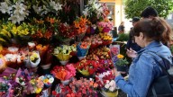 Inicio de la Primavera: el truco real para que las flores duren más