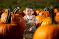 South SnoCo Playtime: Your Family Fun Guide for Sept. 21
