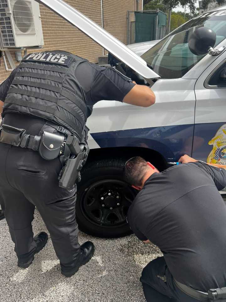 Cat rescued from engine of Pinellas Park police car