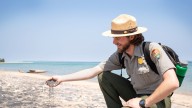 Magnetite stains Michigan beaches black, what to know about the mineral