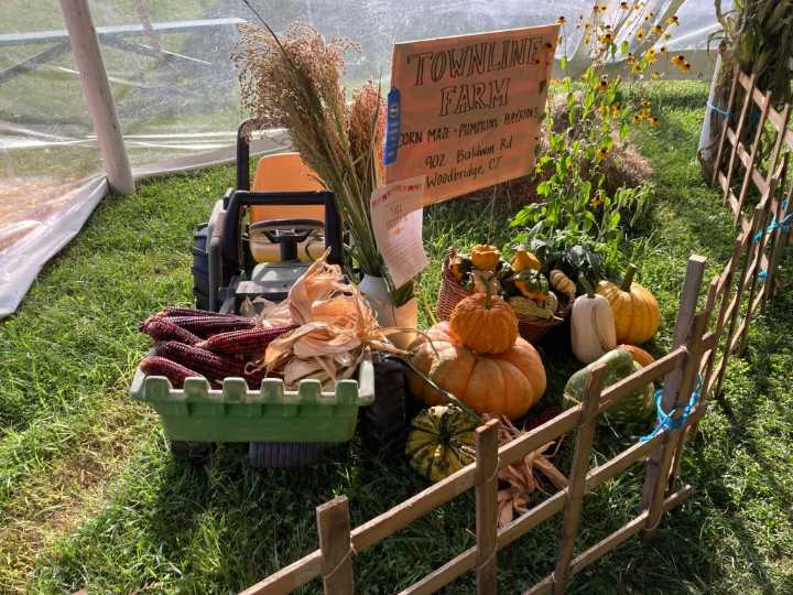 A CT country fair was to be one-time event. This is 50th year