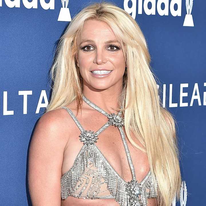 Britney Spears Dances in Sheer Bodysuit