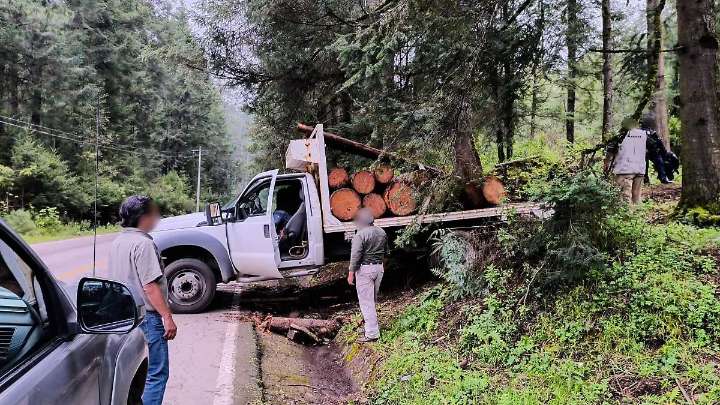 Profepa asegura madera ilegal en Ocuilan y refuerza vigilancia forestal