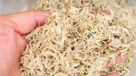 La venta de recortes de uñas, una forma insólita de conseguir dinero rápido