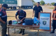 Enviaron por encomienda paquete con más de un kilo de marihuana