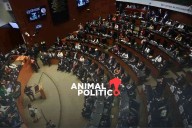 Tras meses de receso legislativo, senadores y diputados sesionan un día y tomarán cinco de descanso