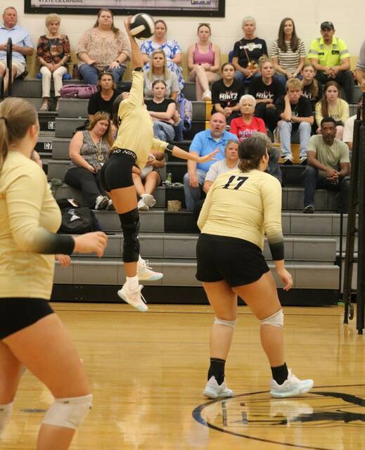 Lions sweep Horses on the court