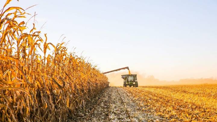 Retenciones: expectativa por la reunión entre el campo y Agricultura tras el fugaz beneficio a exportadores