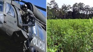 Colombia asegura que si Estados Unidos le retira la certificación en la lucha contra las drogas "ganan" los narcotraficantes