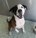 Paw Pals — Sept. 28