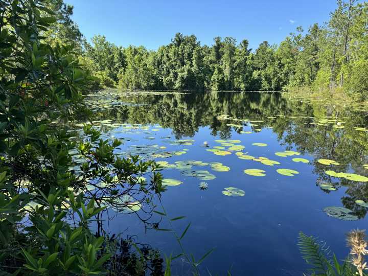 Multiple organizations collaborate to preserve large tract of Putnam County property
