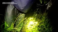 VIDEO: Lost Florida man rescued in swamp after dark