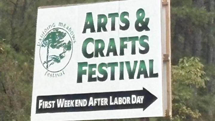 12-year-old girl critically injured after tree falls on her during strong storms at Paulding County festival