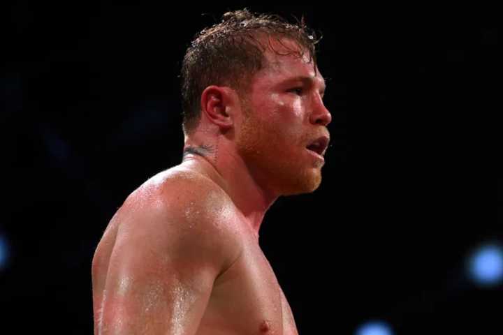 Has Canelo Alvarez Lost in His Amateur Career? Record, Stats & More How well did Canelo Alvarez fare during his amateur career? Did he ever lose a fight after turning into a professional fighter? Krus