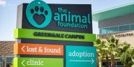 Las Vegas shelter says it’s out of space for dogs, asking community for help