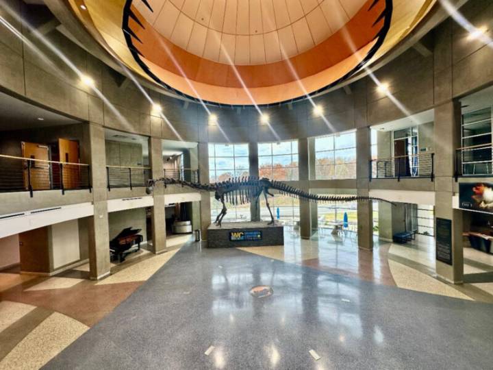 Wonders Center & Science Museum to Celebrate Anniversary with Opening of African Exhibit
