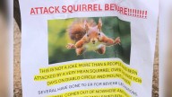 Beware of Nutcracker! This San Francisco Bay Area City is Terrified Viral News