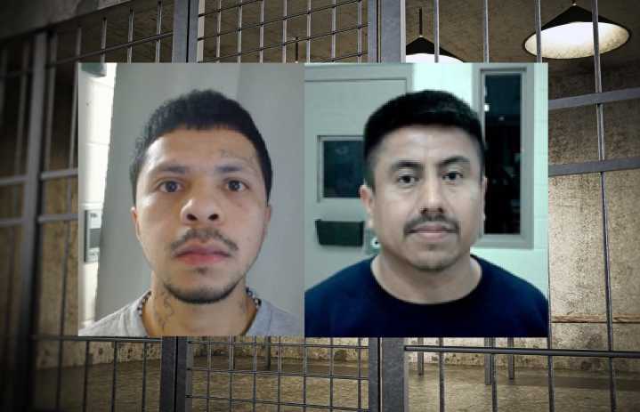 Dos arrestos del ICE en Carolina del Norte: por drogas y robo