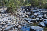 Drought forces Falkland water restrictions