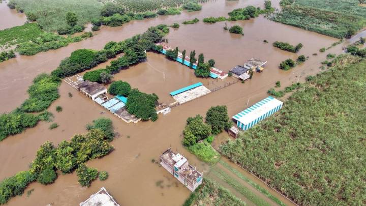 Marathwada rains: Will 'wet drought' be declared in Maharashtra? Next 48 hours crucial, IMD says