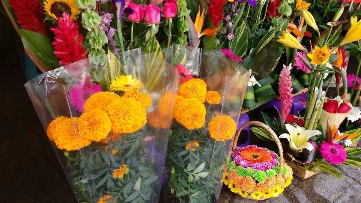 Ventas de flores amarillas en Toluca no alcanzan expectativas en septiembre