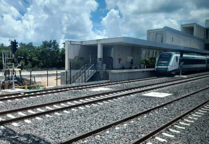 Recorte millonario pone en jaque la recuperación ambiental del Tren Maya