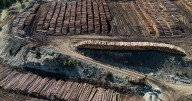 Canada drops 2 appeals of U.S. anti-dumping duties on softwood lumber