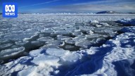 Sudden 30C temperature rise over Antarctica upends Australia's spring outlook