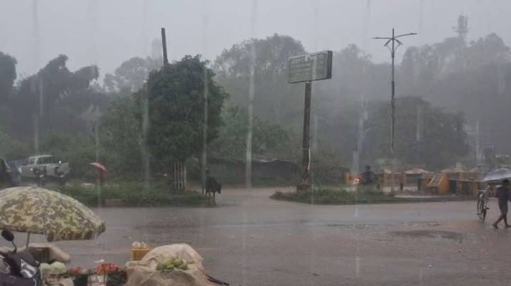 Odisha’s Koraput on alert after 560 mm rainfall in 24 hours; leaves of govt officials cancelled till Sept 28